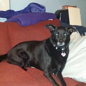 Meet your Posher, Phyllis